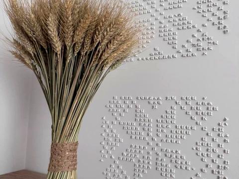 будинок за адресою Володимира Великого вул., 31