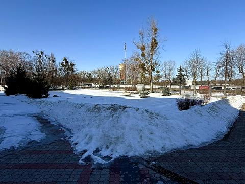 комерційна за адресою Миру пл., 57