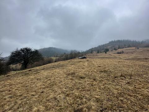 ділянка за адресою 