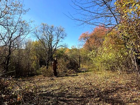 ділянка за адресою Віктора Редькина вул. (Оршівська)