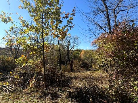 ділянка за адресою Віктора Редькина вул. (Оршівська)