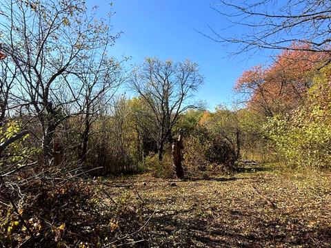 ділянка за адресою Віктора Редькина вул. (Оршівська)