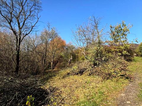 ділянка за адресою Віктора Редькина вул. (Оршівська)