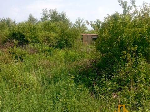 ділянка за адресою Ніредьгазська