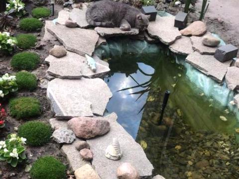 будинок за адресою дачна