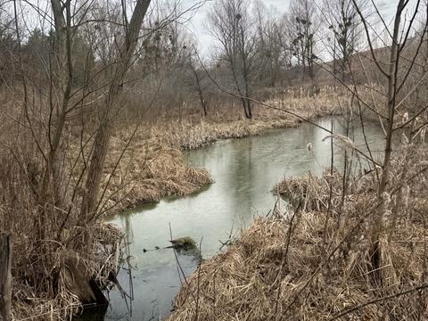 ділянка за адресою Капустяна