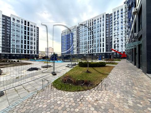 комерційна за адресою Святослава Хороброго вул., 11-Б