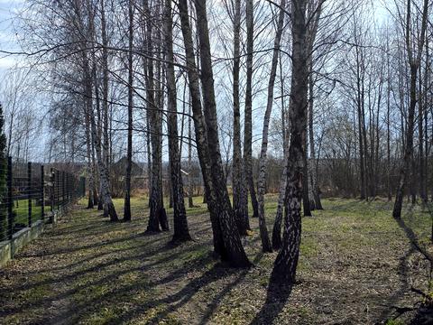 участок по адресу Центральная ул.