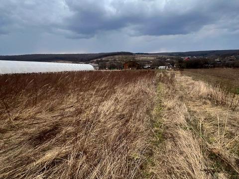 участок по адресу с.Узин