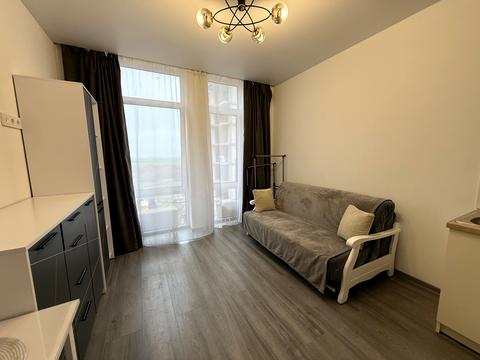 квартира по адресу Радостная ул., 29, к.1