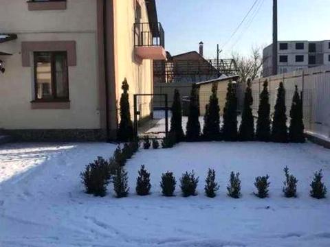 дом по адресу різдвяна