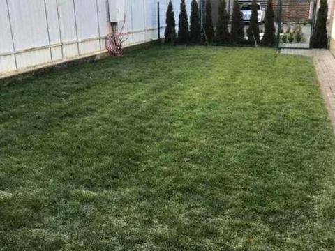 дом по адресу різдвяна