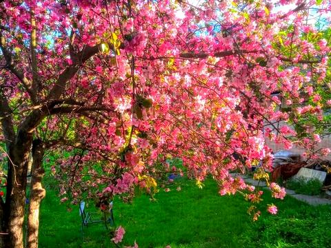 дом по адресу Василя Верховинця ул., 10