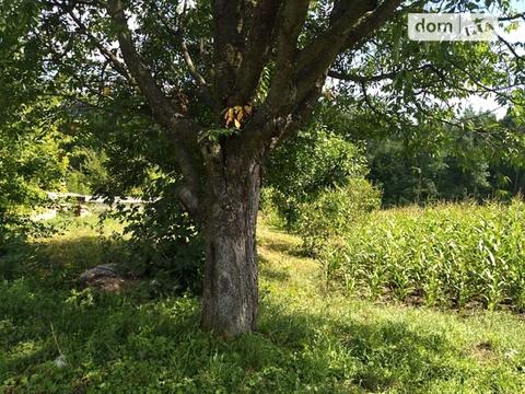 участок по адресу Мічуріна, 26