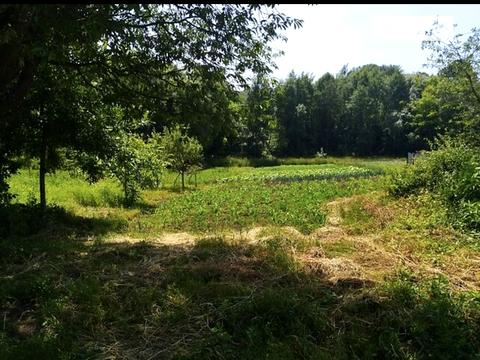 участок по адресу Мічуріна, 26