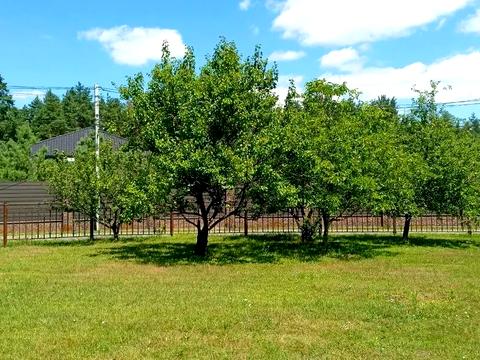 дом по адресу Патона, 1