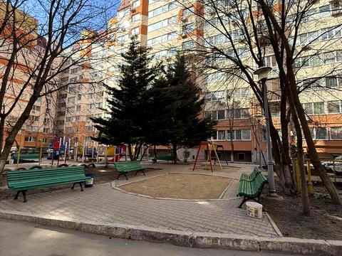 квартира по адресу Старицкого ул., 20/4