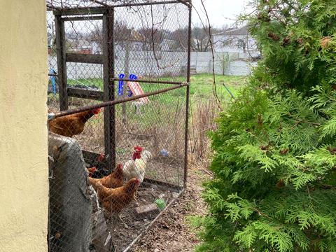 дом по адресу Доблестная ул., 49