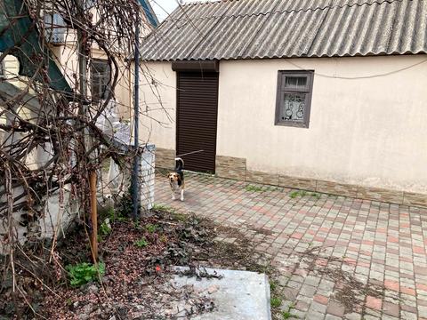 дом по адресу Доблестная ул., 49