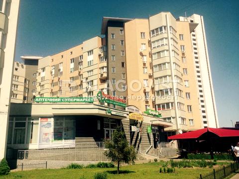 комерційна за адресою Раїси Окіпної вул., 4