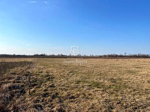 ділянка за адресою Рокитна, 13