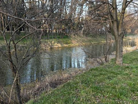 дом по адресу Дахновская Сечь ул.