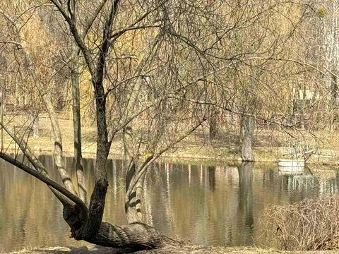 квартира по адресу Покровська ул., (Будинок 16)