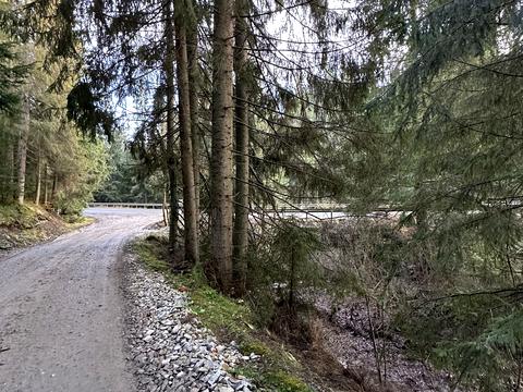 ділянка за адресою Урочище Горіків