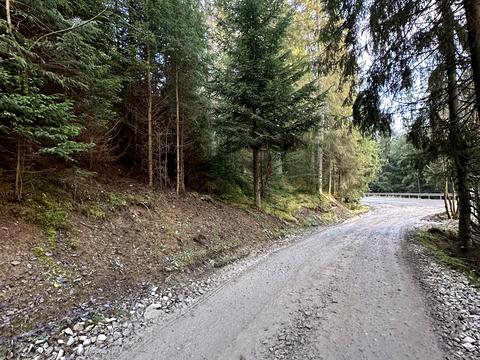 ділянка за адресою Урочище Горіків