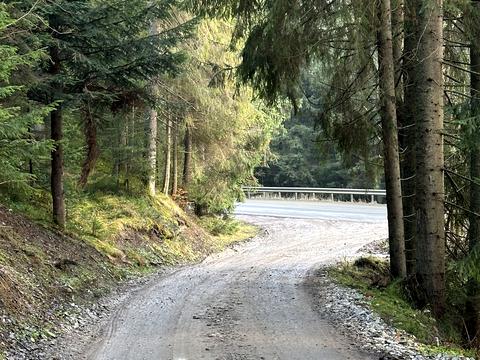 участок по адресу Урочище Горіків