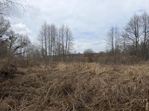 ділянка за адресою Козацька