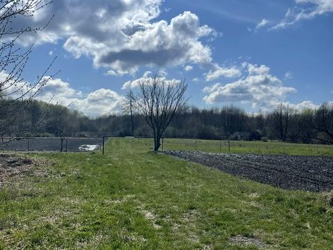 ділянка за адресою Козацька