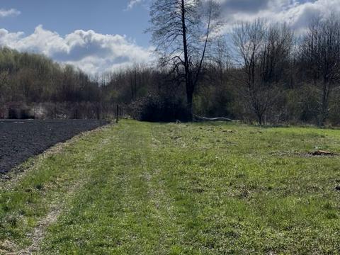 ділянка за адресою Козацька