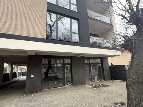 комерційна за адресою Собранецька вул., 87