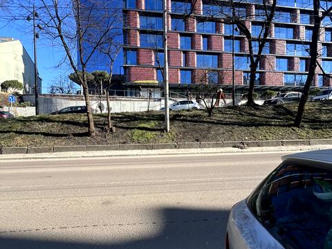 комерційна за адресою Шота Руставелі вул., 24