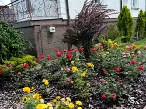 будинок за адресою Василя Чапленка