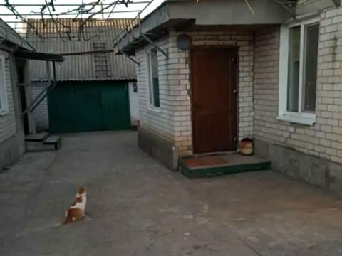 будинок за адресою Магдалинівська