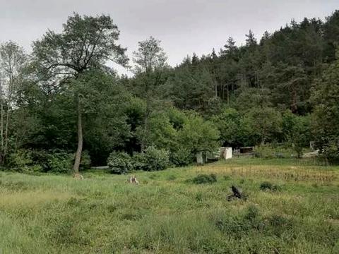 участок по адресу провулок Шевченка