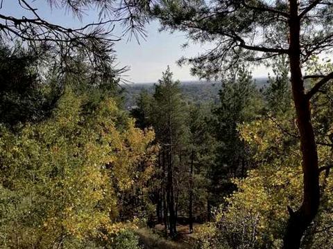 участок по адресу провулок Шевченка