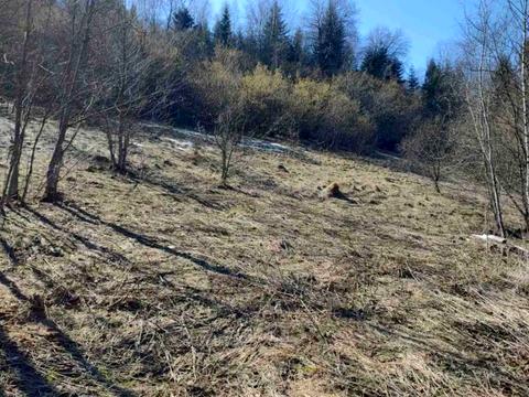 участок по адресу 