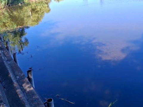 будинок за адресою Київська