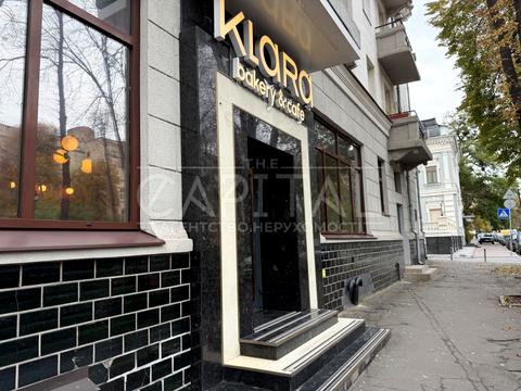 комерційна за адресою Липська вул., 12/5