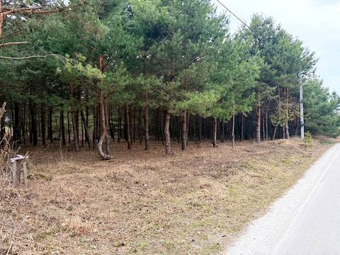 ділянка за адресою Козацька вул. (Леніна)