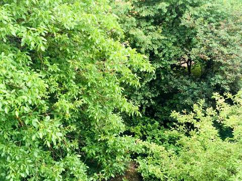 квартира за адресою Південний бульв., 30а