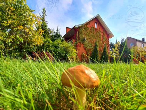 будинок за адресою Центральна вул.