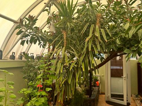 будинок за адресою Сиреневая