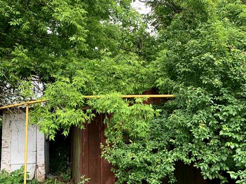 дом по адресу кірова, 1