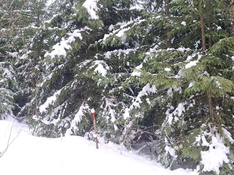 ділянка за адресою 