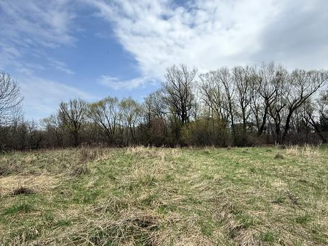 дом по адресу Шевченка, 41