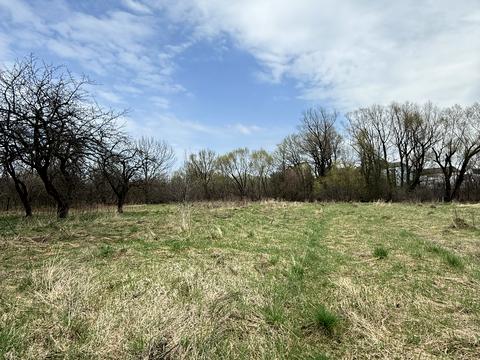 дом по адресу Шевченка, 41